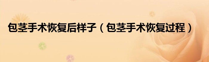 包莖手術恢復后樣子（包莖手術恢復過程）