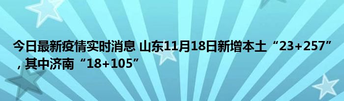今日最新疫情實時消息 山東11月18日新增本土“23+257”，其中濟南“18+105”