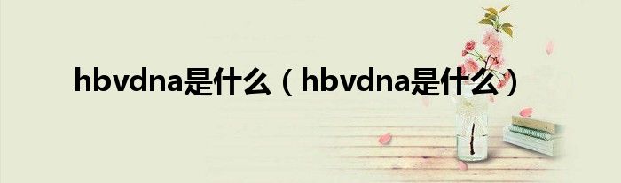 hbvdna是什么（hbvdna是什么）