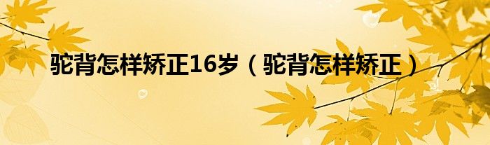 駝背怎樣矯正16歲（駝背怎樣矯正）