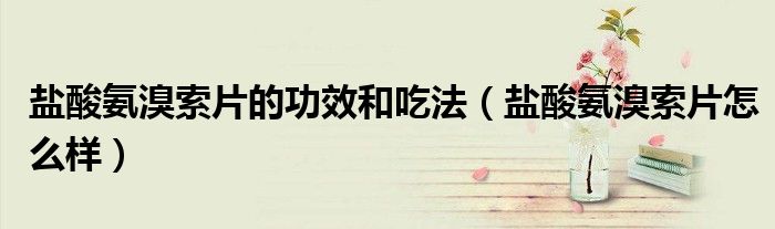 鹽酸氨溴索片的功效和吃法(鹽酸氨溴索片怎么樣)