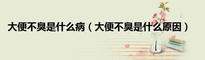 大便不臭是什么?。ù蟊悴怀羰鞘裁丛颍?class='thumb lazy' /></a>
		    <header>
		<h2><a  href=