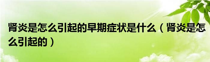 腎炎是怎么引起的早期癥狀是什么（腎炎是怎么引起的）
