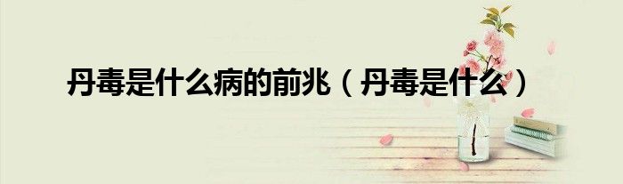 丹毒是什么病的前兆（丹毒是什么）