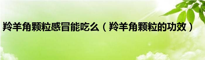 羚羊角顆粒感冒能吃么（羚羊角顆粒的功效）