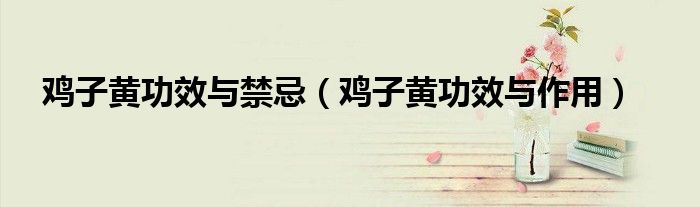 雞子黃功效與禁忌（雞子黃功效與作用）