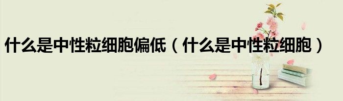 什么是中性粒細胞偏低（什么是中性粒細胞）