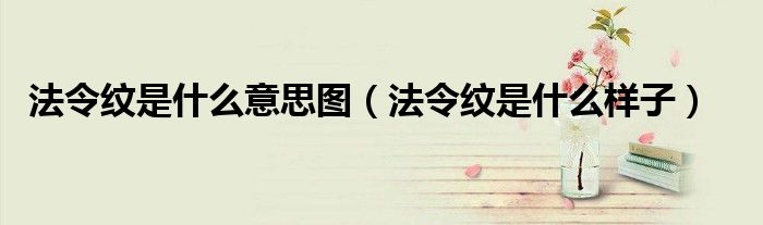 法令紋是什么意思圖（法令紋是什么樣子）