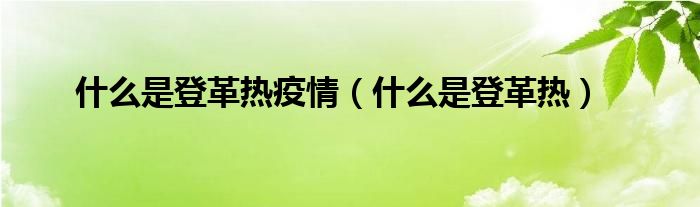 什么是登革熱疫情（什么是登革熱）