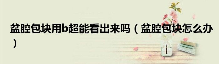 盆腔包塊用b超能看出來嗎（盆腔包塊怎么辦）