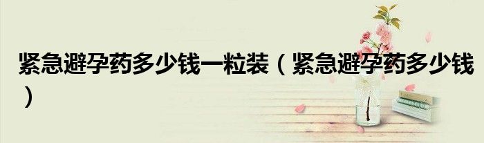 緊急避孕藥多少錢一粒裝（緊急避孕藥多少錢）