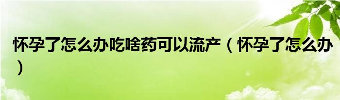 懷孕了怎么辦吃啥藥可以流產(chǎn)（懷孕了怎么辦）