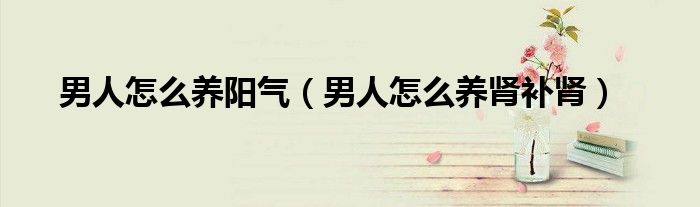 男人怎么養(yǎng)陽氣（男人怎么養(yǎng)腎補腎）