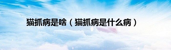 貓抓病是啥（貓抓病是什么?。?class='thumb lazy' /></a>
		    <header>
		<h2><a  href=