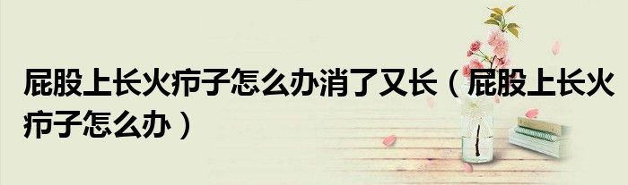屁股上長火癤子怎么辦消了又長（屁股上長火癤子怎么辦）