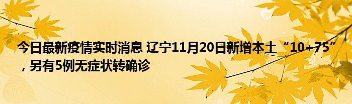 今日最新疫情實(shí)時(shí)消息 遼寧11月20日新增本土“10+75”，另有5例無癥狀轉(zhuǎn)確診