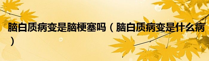 腦白質(zhì)病變是腦梗塞嗎（腦白質(zhì)病變是什么?。?class='thumb lazy' /></a>
		    <header>
		<h2><a  href=