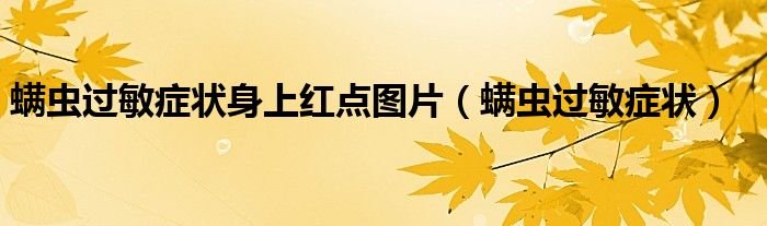 螨蟲(chóng)過(guò)敏癥狀身上紅點(diǎn)圖片（螨蟲(chóng)過(guò)敏癥狀）