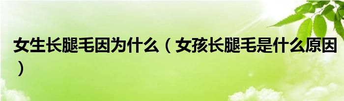 女生長腿毛因?yàn)槭裁矗ㄅ㈤L腿毛是什么原因）