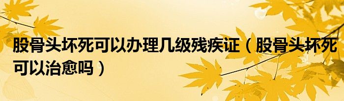 股骨頭壞死可以辦理幾級(jí)殘疾證(股骨頭壞死可以治愈嗎)