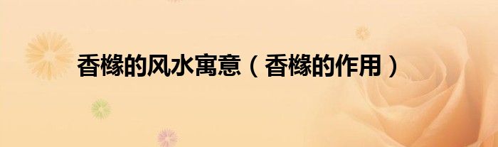 香櫞的風水寓意（香櫞的作用）