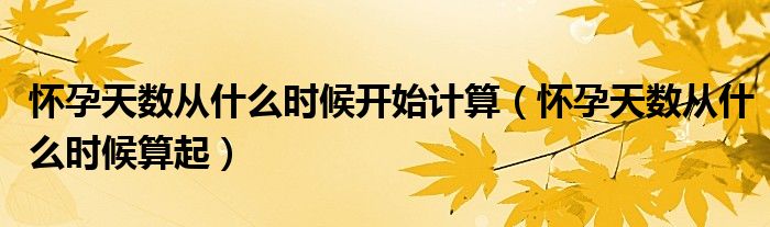 懷孕天數(shù)從什么時候開始計算（懷孕天數(shù)從什么時候算起）