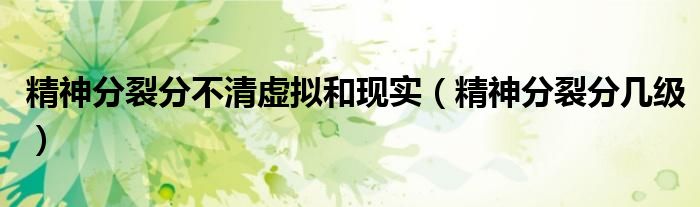 精神分裂分不清虛擬和現(xiàn)實（精神分裂分幾級）
