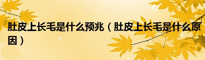 肚皮上長毛是什么預(yù)兆(肚皮上長毛是什么原因)
