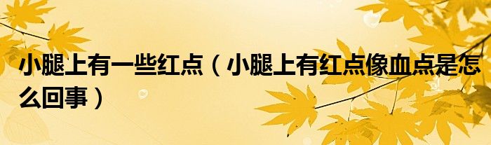 小腿上有一些紅點(diǎn)（小腿上有紅點(diǎn)像血點(diǎn)是怎么回事）