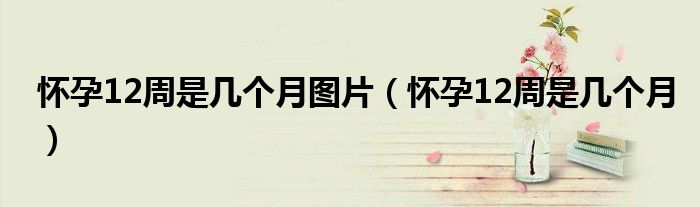 懷孕12周是幾個月圖片(懷孕12周是幾個月)