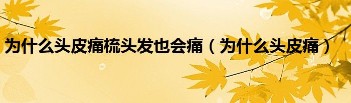 為什么頭皮痛梳頭發(fā)也會痛（為什么頭皮痛）