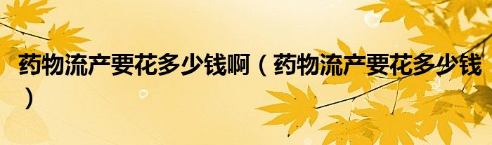 藥物流產(chǎn)要花多少錢?。ㄋ幬锪鳟a(chǎn)要花多少錢）