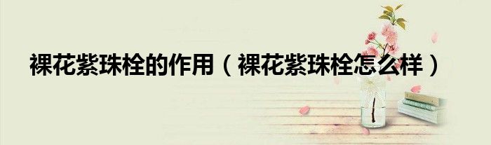 裸花紫珠栓的作用（裸花紫珠栓怎么樣）