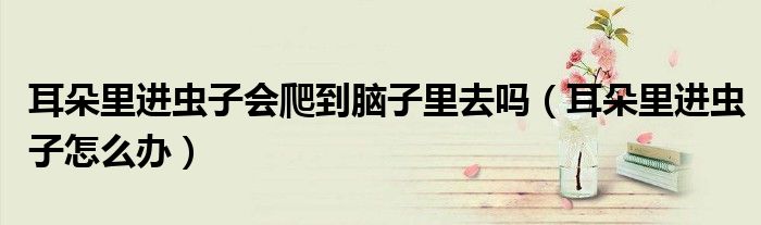 耳朵里進蟲子會爬到腦子里去嗎（耳朵里進蟲子怎么辦）