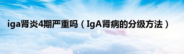 iga腎炎4期嚴(yán)重嗎（IgA腎病的分級(jí)方法）