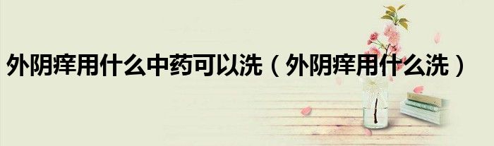 外陰癢用什么中藥可以洗(外陰癢用什么洗)