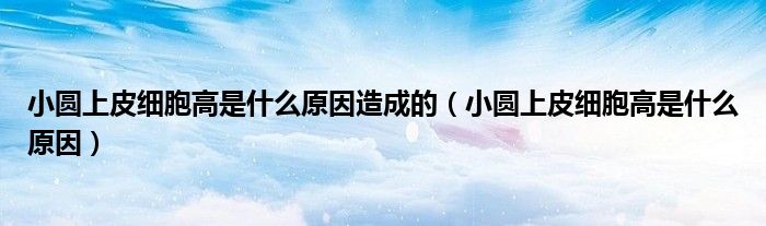 小圓上皮細(xì)胞高是什么原因造成的（小圓上皮細(xì)胞高是什么原因）