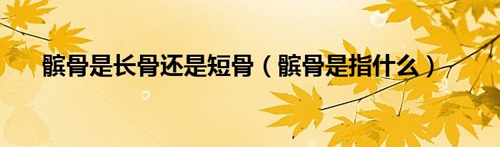 髕骨是長(zhǎng)骨還是短骨（髕骨是指什么）