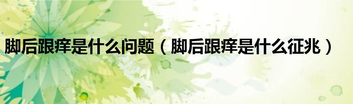 腳后跟癢是什么問題（腳后跟癢是什么征兆）
