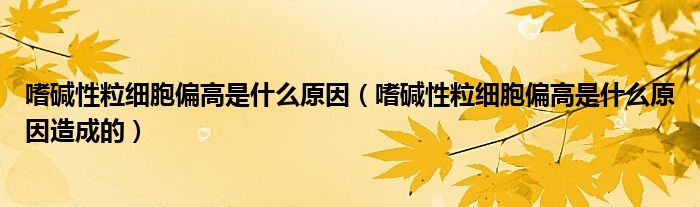 嗜堿性粒細(xì)胞偏高是什么原因（嗜堿性粒細(xì)胞偏高是什么原因造成的）