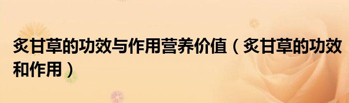 炙甘草的功效與作用營養(yǎng)價值（炙甘草的功效和作用）