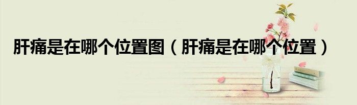 肝痛是在哪個(gè)位置圖（肝痛是在哪個(gè)位置）