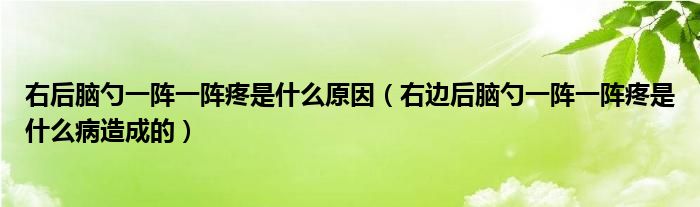 右后腦勺一陣一陣疼是什么原因(右邊后腦勺一陣一陣疼是什么病造成的)