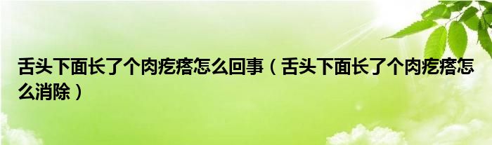 舌頭下面長(zhǎng)了個(gè)肉疙瘩怎么回事（舌頭下面長(zhǎng)了個(gè)肉疙瘩怎么消除）