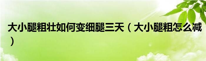 大小腿粗壯如何變細(xì)腿三天（大小腿粗怎么減）