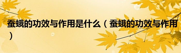 蠶蛾的功效與作用是什么（蠶蛾的功效與作用）