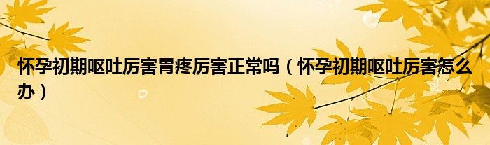 懷孕初期嘔吐厲害胃疼厲害正常嗎(懷孕初期嘔吐厲害怎么辦)
