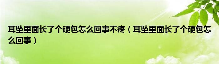 耳墜里面長了個(gè)硬包怎么回事不疼（耳墜里面長了個(gè)硬包怎么回事）