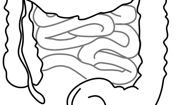團隊發(fā)現(xiàn)在對抗腸道感染中神經(jīng)系統(tǒng)是關(guān)鍵