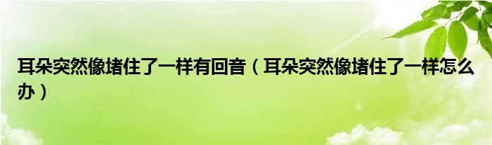 耳朵突然像堵住了一樣有回音（耳朵突然像堵住了一樣怎么辦）